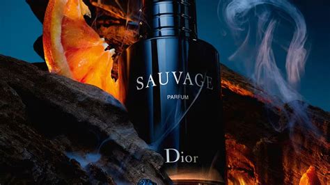 dior sauvage mann oder frau